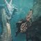 Monster Hunter Wilds ha presentato il grosso Title Update 2 gratuito: trailer, data di uscita e dettagli