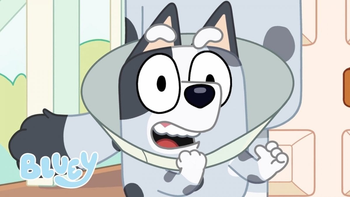 Bluey: Aggiornamento a Sorpresa! Nuovi Personaggi, Muffin e Zio Stripe, e Bug Risolti per un Divertimento Senza Fine!