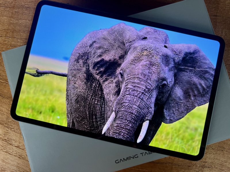 Il display OLED di REDMAGIC Astra Gaming Tablet è davvero molto buono Il display OLED di REDMAGIC Astra Gaming Tablet è davvero molto buono