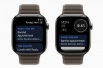 Google Calendar arriva su Apple Watch: cosa offre la nuova app - Notizia