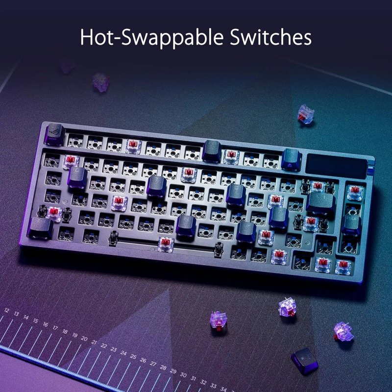 Gli switch possono essere sostituiti a proprio piacimento