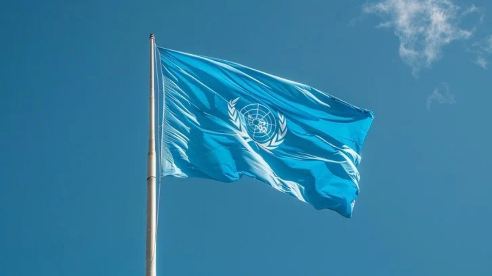 Bandiera ONU