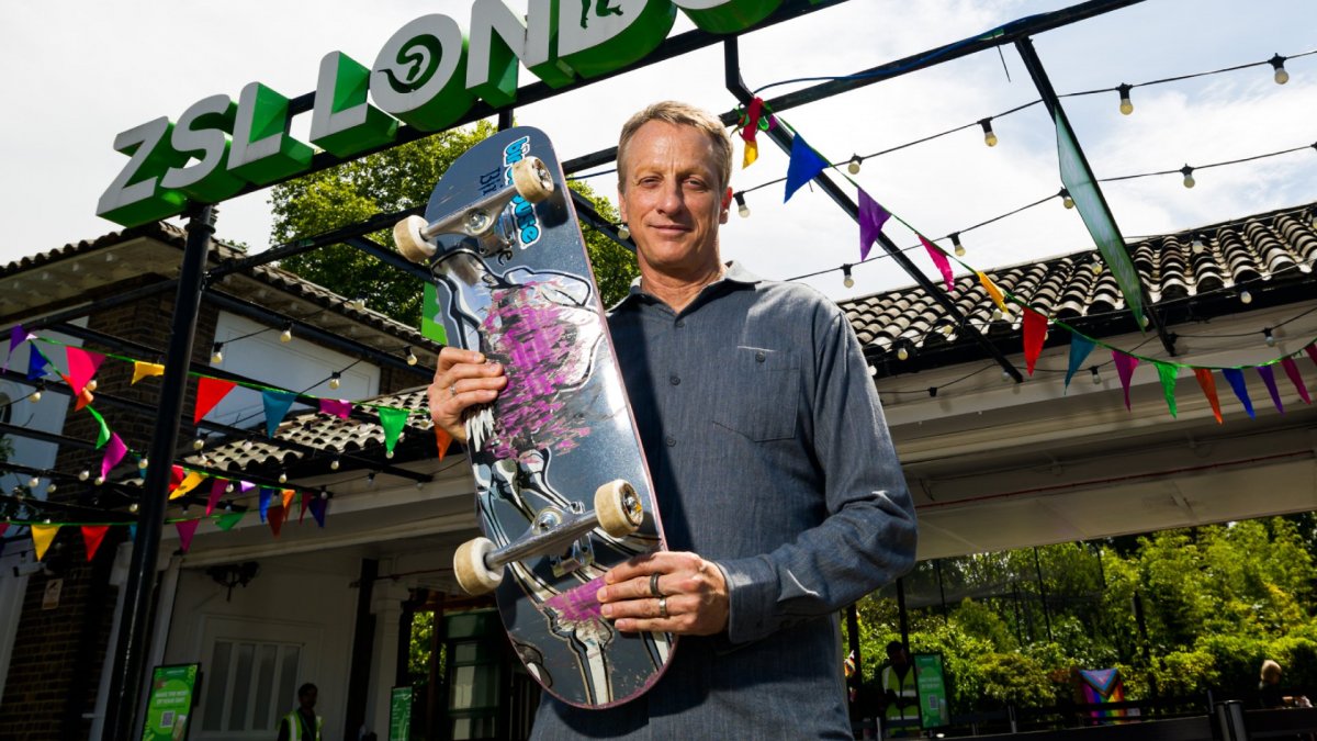 Tony Hawk #39 s Pro Skater 3   4 trasforma lo Zoo di Londra in un livello