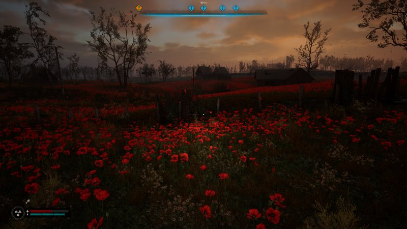 Un campo di papaveri allucinogeno