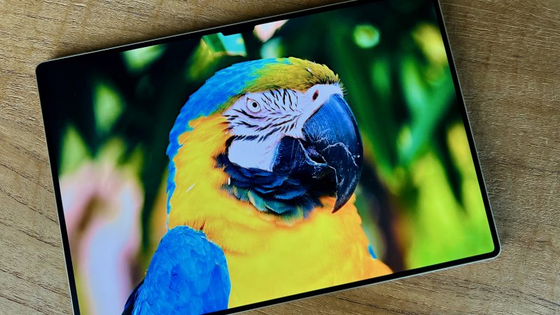 Il trattamento opaco del display PaperMatte di Huawei MatePad Pro 13.2 smorza un po' i colori Il trattamento opaco del display PaperMatte di Huawei MatePad Pro 13.2 smorza un po' i colori