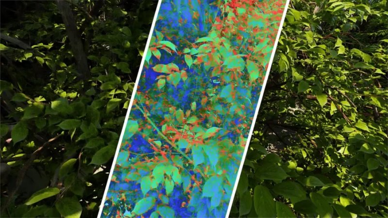 Lo strumento di Intel consente di vedere le zone maggiormente colpite da artefatti Lo strumento di Intel consente di vedere le zone maggiormente colpite da artefatti