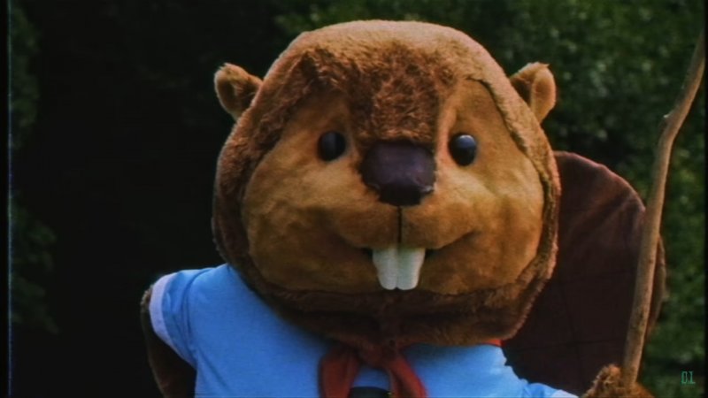 Con una mascotte come Bober il Castoro, cosa potrà andare mai storto a Castor Woods?