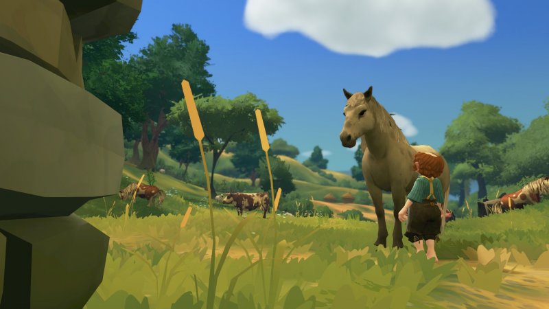 Ammiriamo un cavallo senza curarci dei confini interpersonali in un paesaggio graficamente non strabiliante