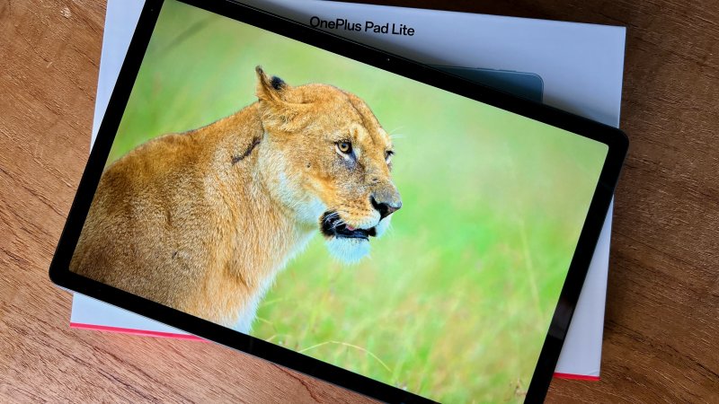 Il display di OnePlus Pad Lite non è propriamente spettacolare