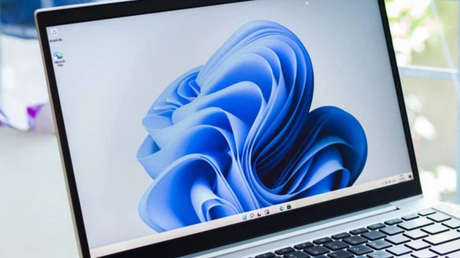 Windows 11