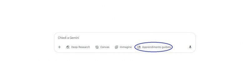 Google Gemini - Apprendimento guidato