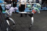 Alle Olimpiadi dei robot umanoidi gli androidi si sono picchiati e hanno corso, ma con regole particolari - Notizia