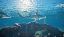 inZOI: Island Getaway - Trailer
