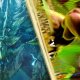 Street Fighter 6 x Monster Hunter Wilds - Trailer