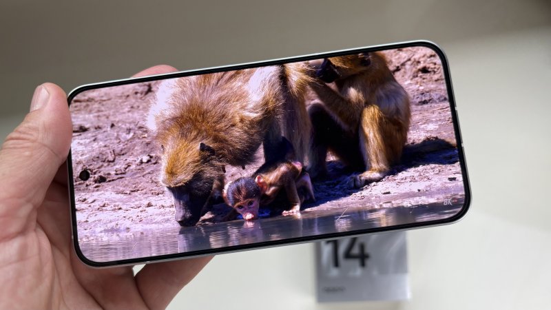 Lo schermo non è niente male, luminoso e ben dotato