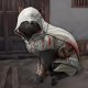 La gatta di uno youtuber è finita dentro Assassin's Creed Shadows