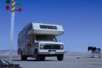 I fan di SEGA stanno trollando un post di Mario Kart World con l'immagine di un camper, una mucca e una tartaruga - Notizia