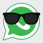 WhatsApp sviluppa una nuova funzione che individua potenziali truffe senza leggere i messaggi