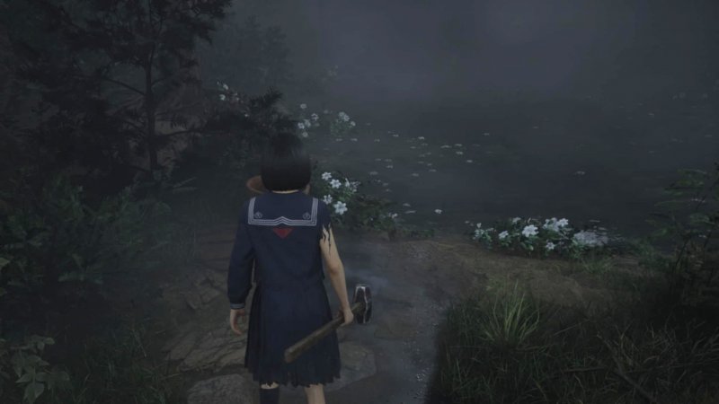 I fiori bianchi che crescono sulle sponde del lago vicino a casa di Shu in Silent Hill f I fiori bianchi che crescono sulle sponde del lago vicino a casa di Shu in Silent Hill f