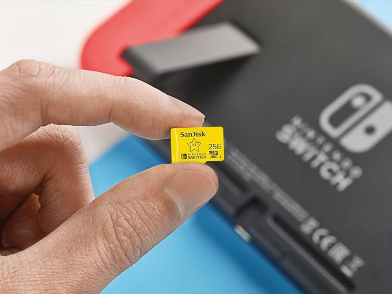 microSD SanDisk da 256GB