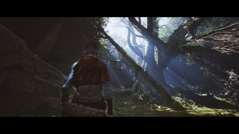 Durante 1348 Ex Voto si attraverseranno anche aree naturali Durante 1348 Ex Voto si attraverseranno anche aree naturali