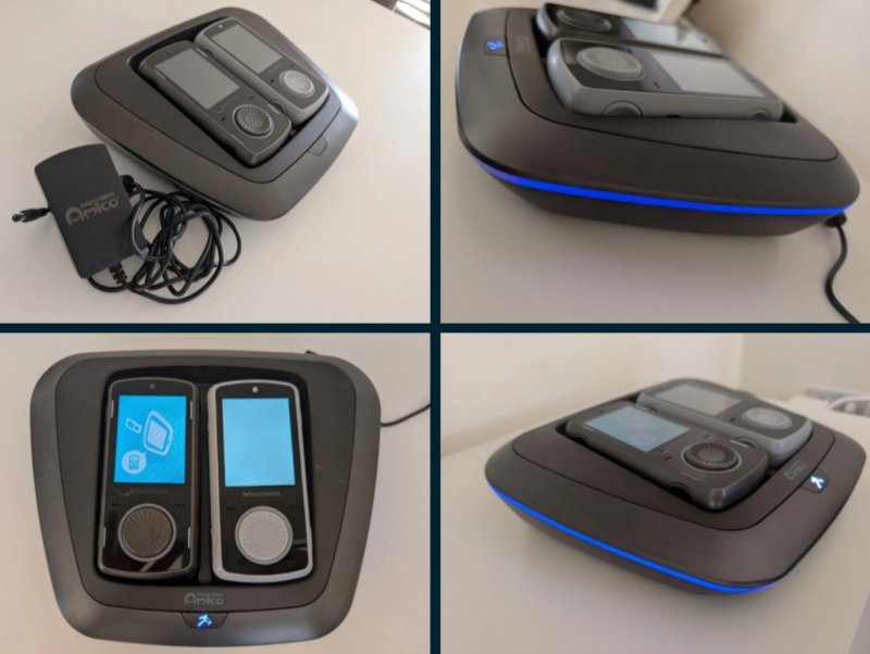 Le immagini dell'asta