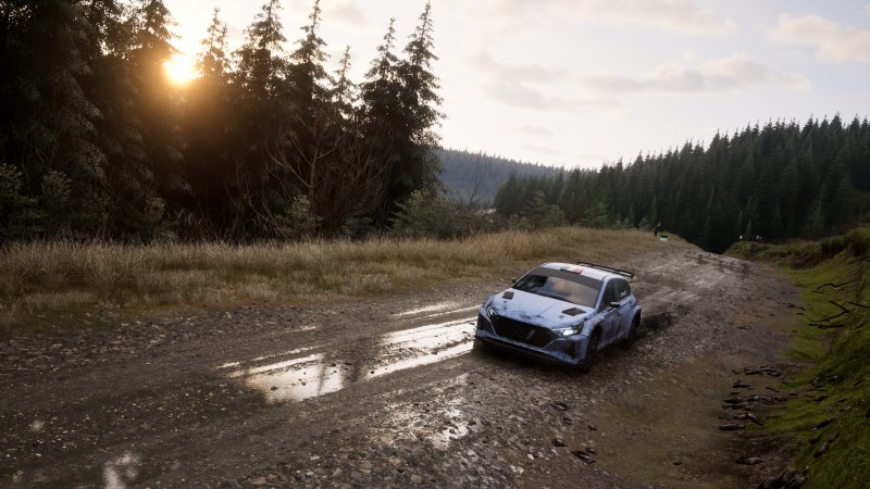 Il bellissimo scorcio di un tracciato di Assetto Corsa Rally