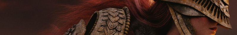 Elden Ring Banner