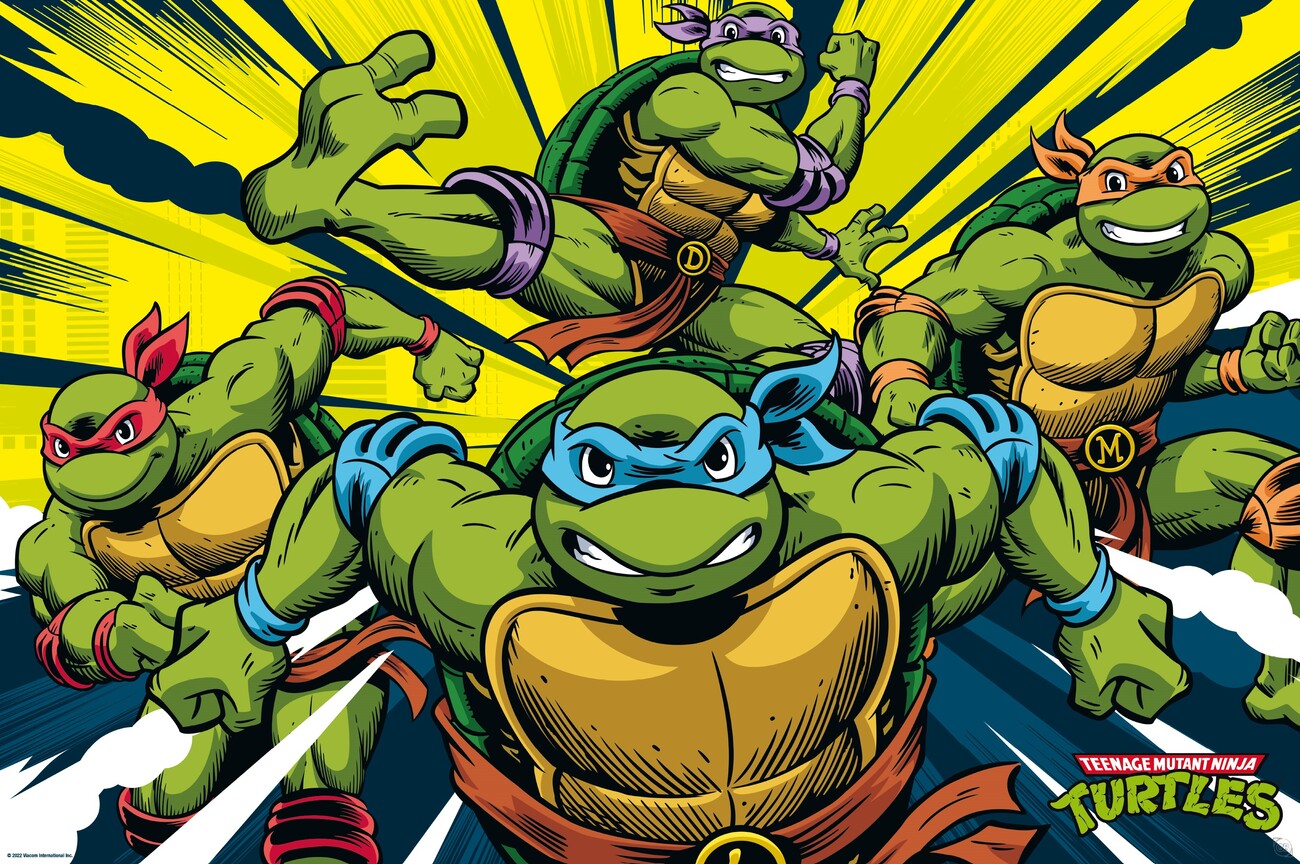 Le Teenage Mutant Ninja Turtles