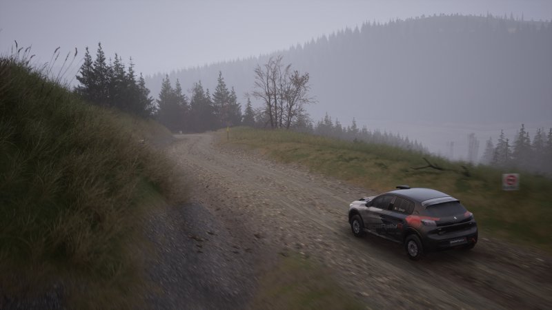 Assetto Corsa Rally