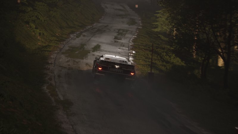 Assetto Corsa Rally