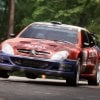 Assetto Corsa Rally