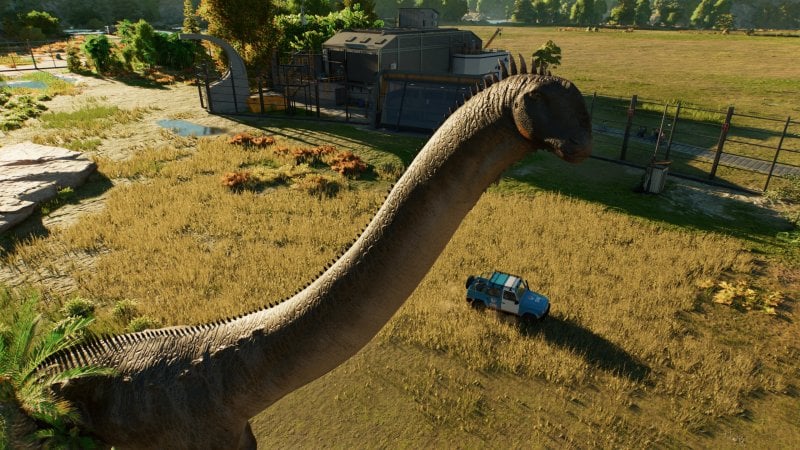 Graficamente il gioco è molto bello, anche grazie all'ottimo ray tracing, ma soffre di un fastidioso pop-in dei cespugli che appaiono in modo abbastanza violento ogni volta che si interagisce con la camera Graficamente il gioco è molto bello, anche grazie all'ottimo ray tracing, ma soffre di un fastidioso pop-in dei cespugli che appaiono in modo abbastanza violento ogni volta che si interagisce con la camera