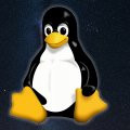 Le installazioni di Linux cresciute al 5% nell'ultimo sondaggio hardware di Steam, la RTX 5070 ferma al palo