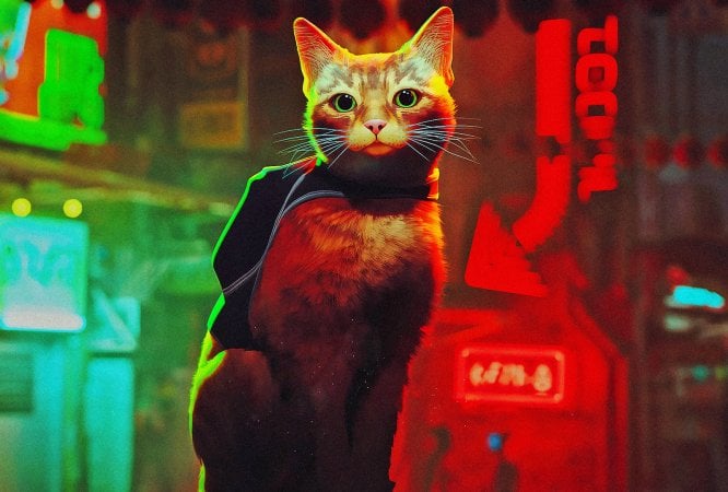 Un simulatore di guida, uno di battaglie e uno di... gatti!