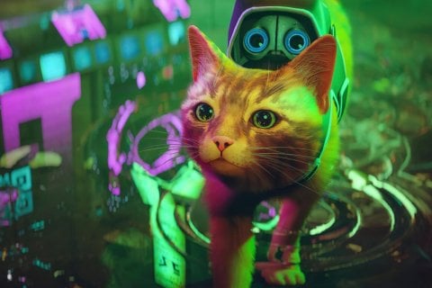 PlayStation Plus, i giochi di novembre: Stray, EA Sports WRC 24 e Totally Accurate Battle Simulator