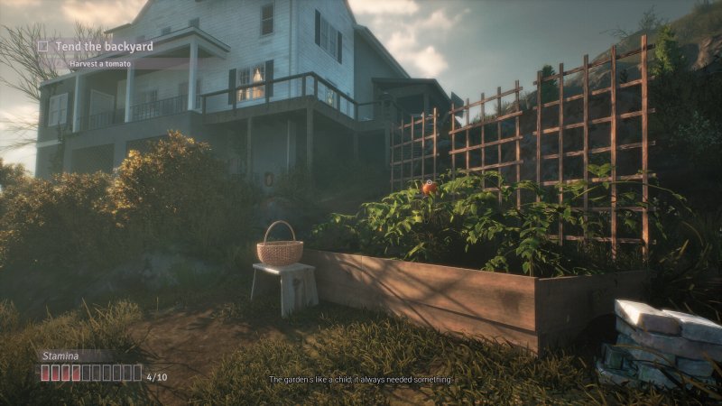 La casa di Fractured Blooms sembra apparentemente un posto felice