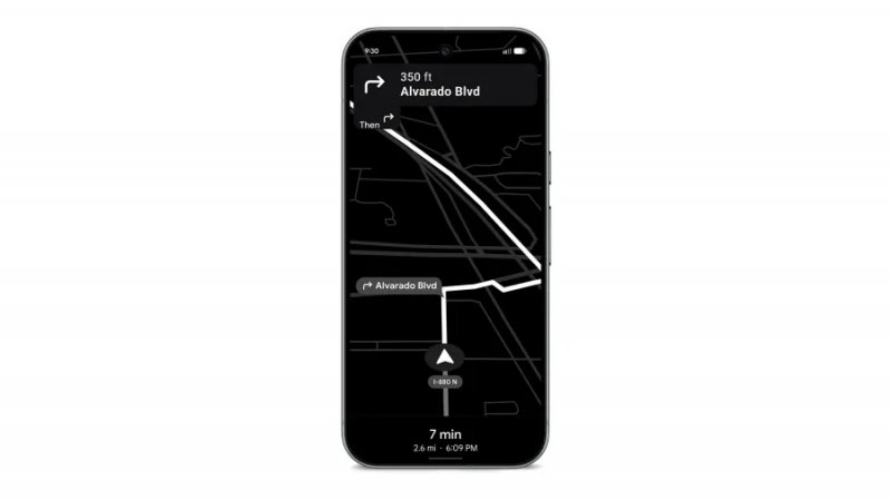 Google Maps con layout bianco e nero