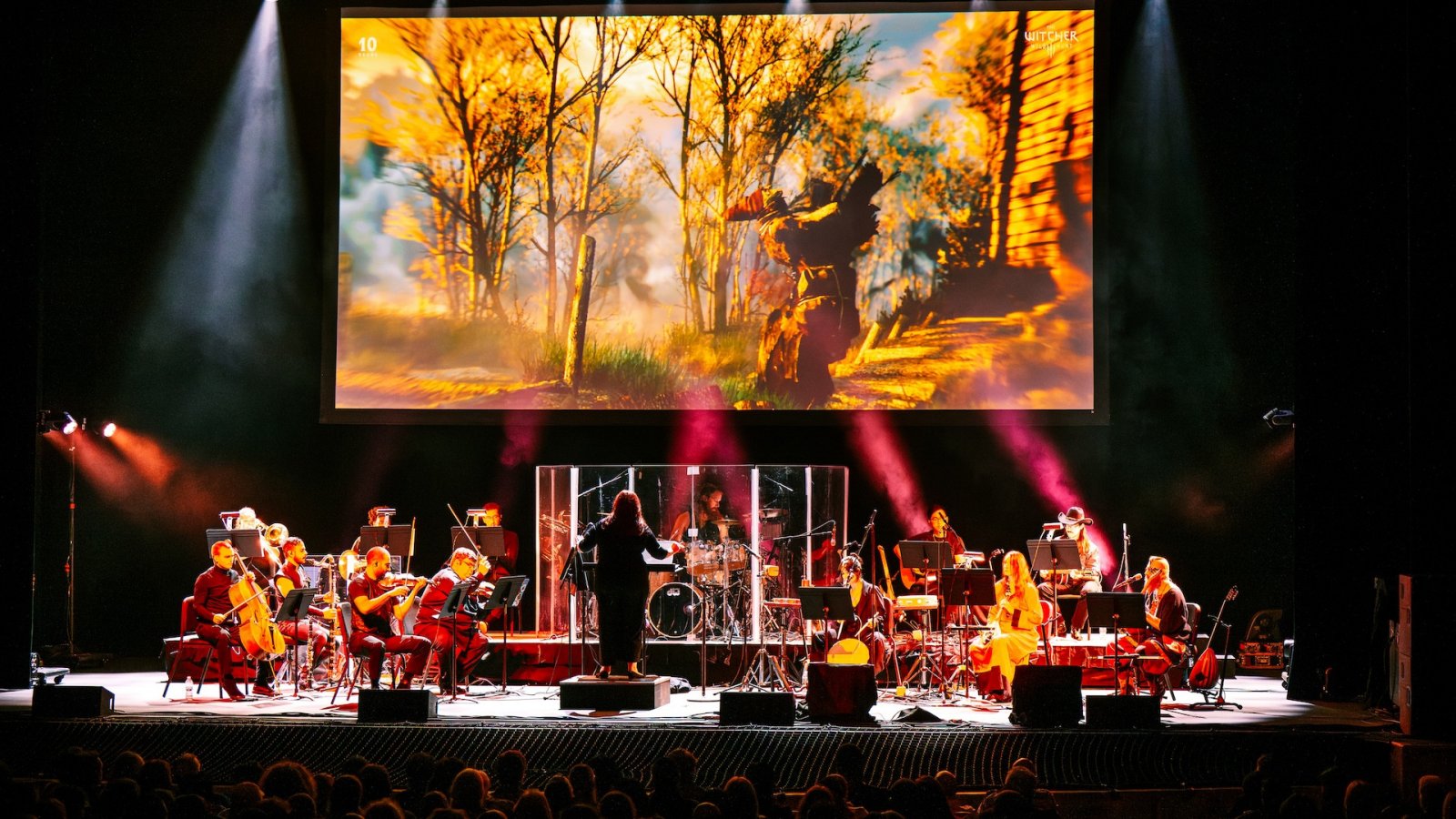 The Witcher in concert, una foto