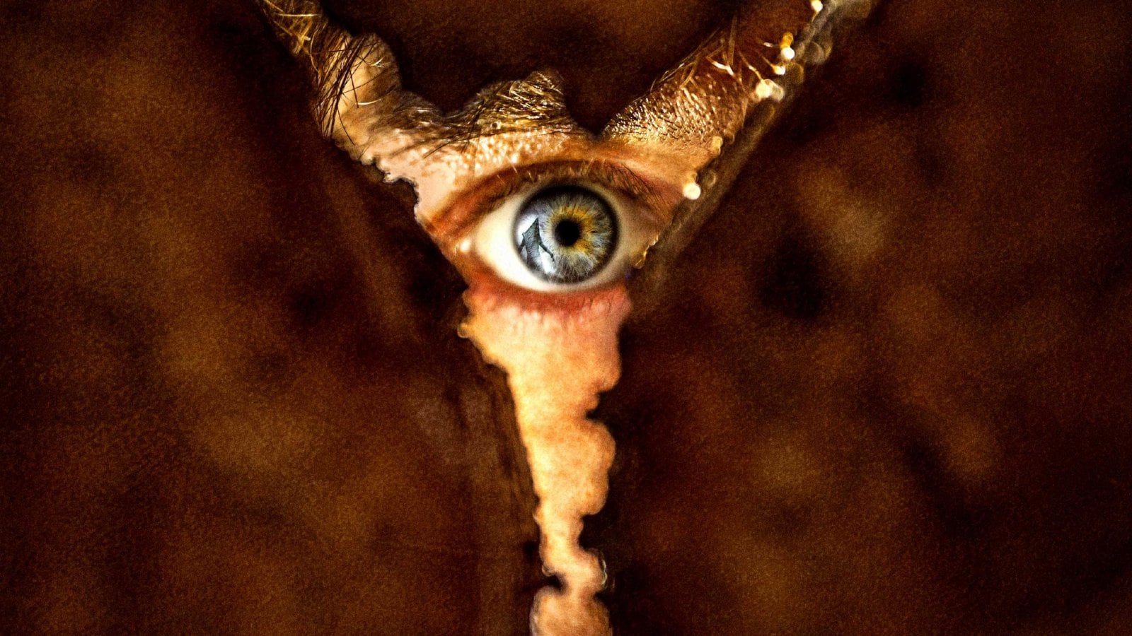 La locandina di Return to Silent Hill