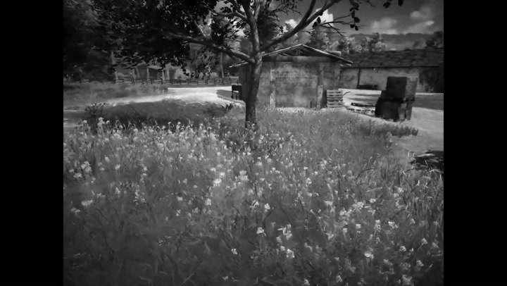 Horses - Trailer con la data di uscita