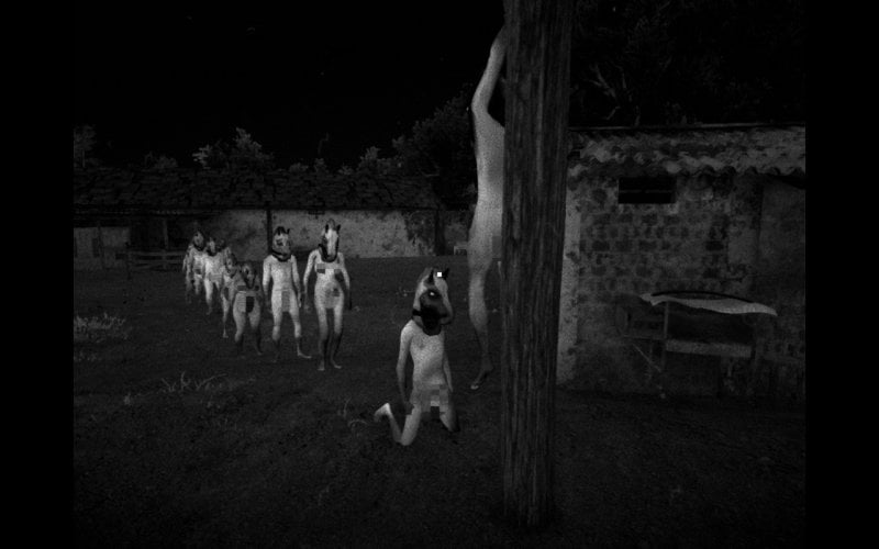 Molte delle scene di Horses sono immagini potente, che raccontano molto