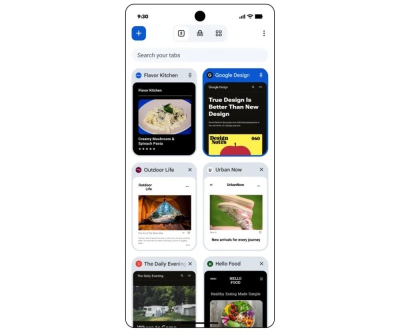La sezione dedicata alle schede