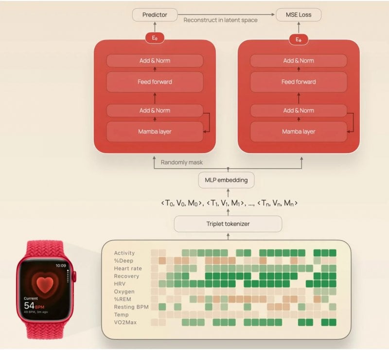 Schema del modello JETS, dai dati grezzi dell'Apple Watch alla ricostruzione nel latent space: il sistema converte i parametri biometrici in triplette, li incorpora tramite un MLP e li elabora con blocchi Mamba per ottenere previsioni e ricostruzioni più accurate.