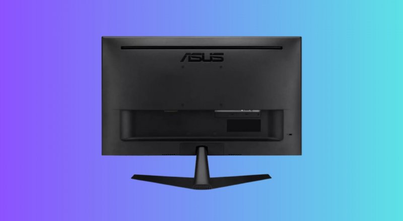 Il retro del monitor