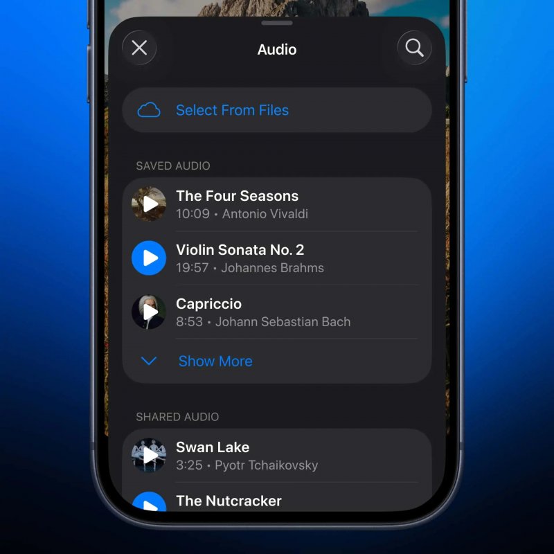 Selezione voce audio da inserire nelle Storie
