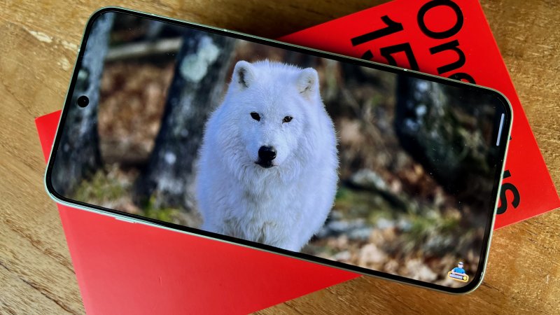 Il display di OnePlus 15R è ottimo, ma non è un LTPO