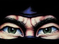 The Last Ninja Collection è disponibile su PC