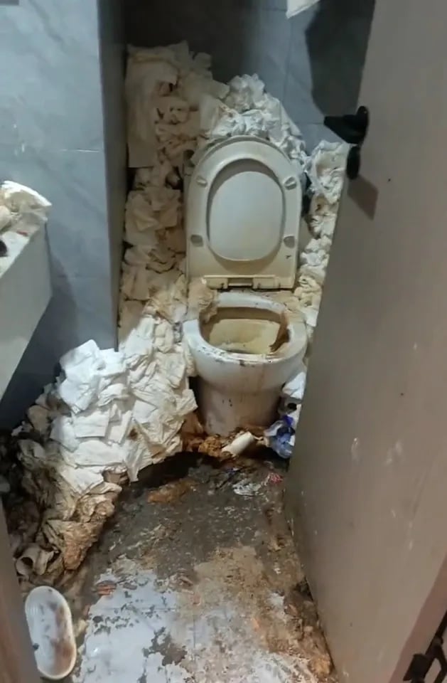 Anche i batteri sono scappati dal water