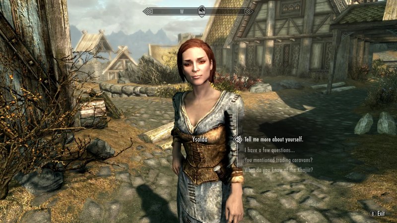 Quella di Ysolda è solo una delle tante storie più o meno evidenti e dichiarate che The Elder Scrolls V: Skyrim cela nella sua progressione